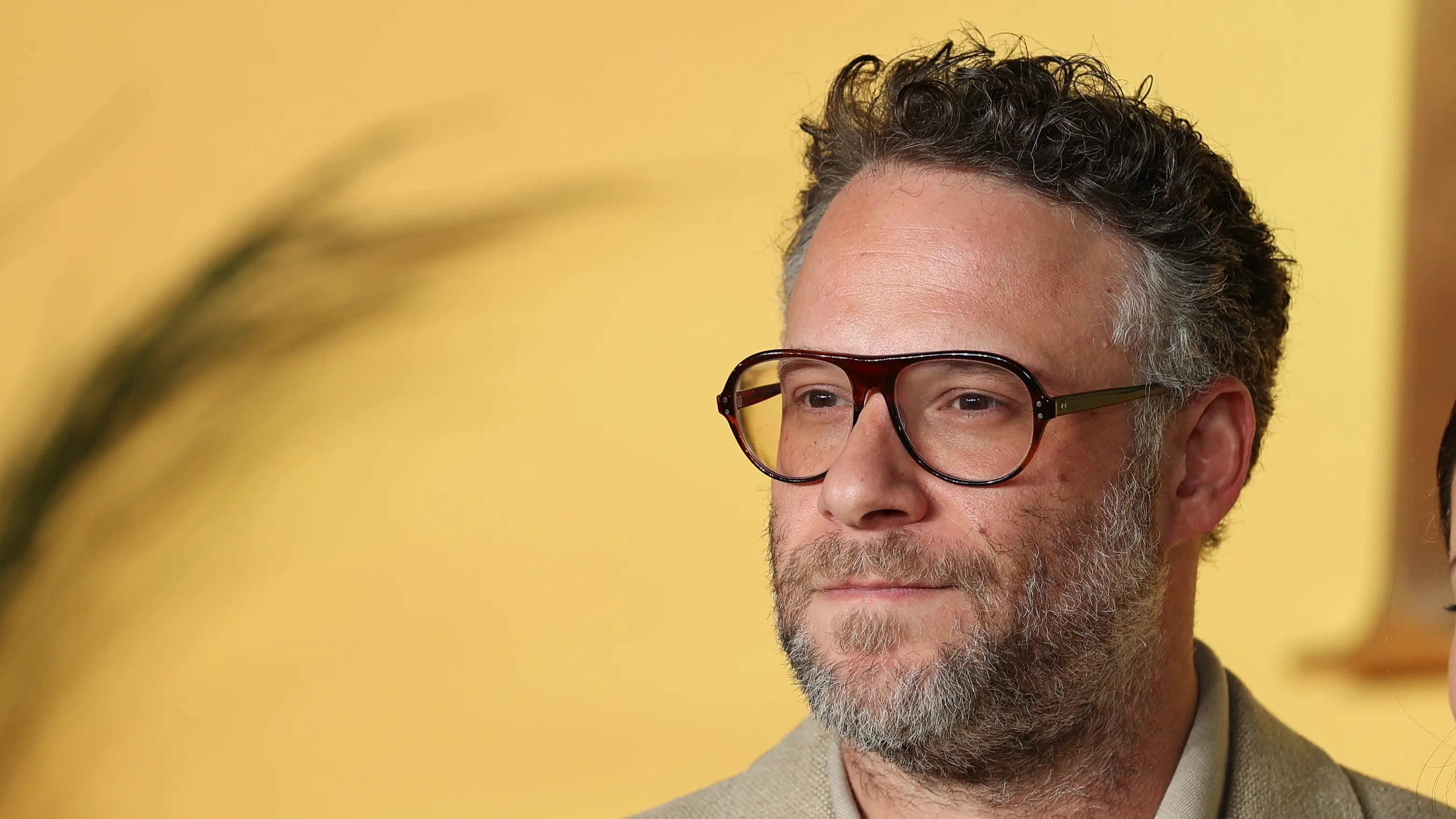 Mike Marsland/WireImage