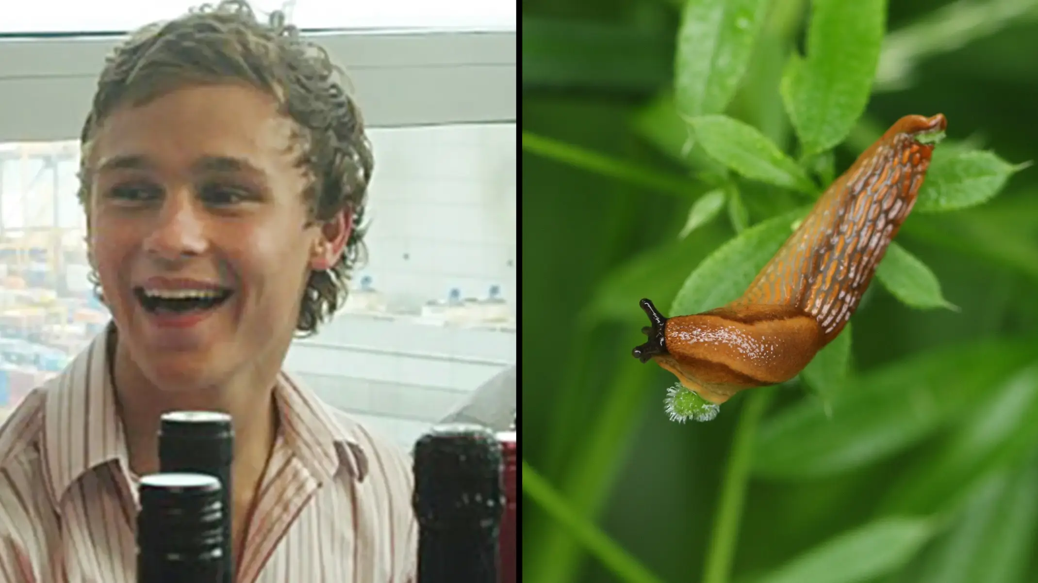 Facebook/Getty Stock Photo