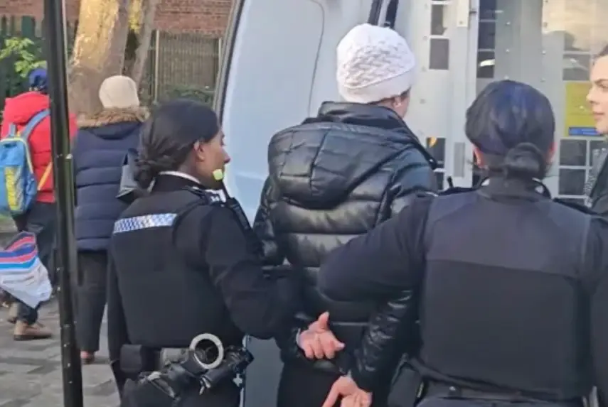 Dramatic footage of her arrest has been circulating online (YouTube/The Fool Catcher)