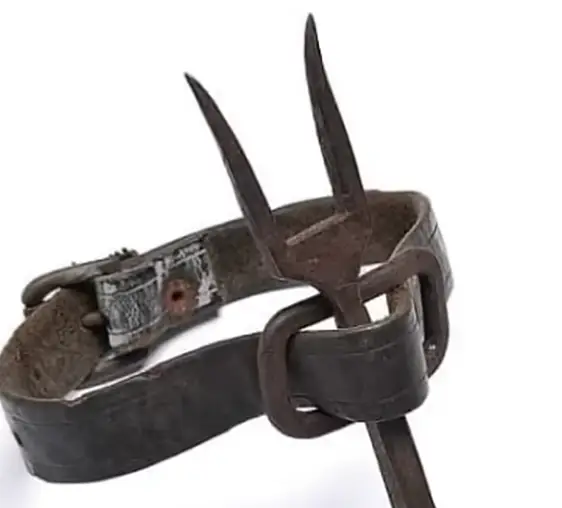 Imagine that being lodged under your chin. (YouTube/@the_deep_dive)