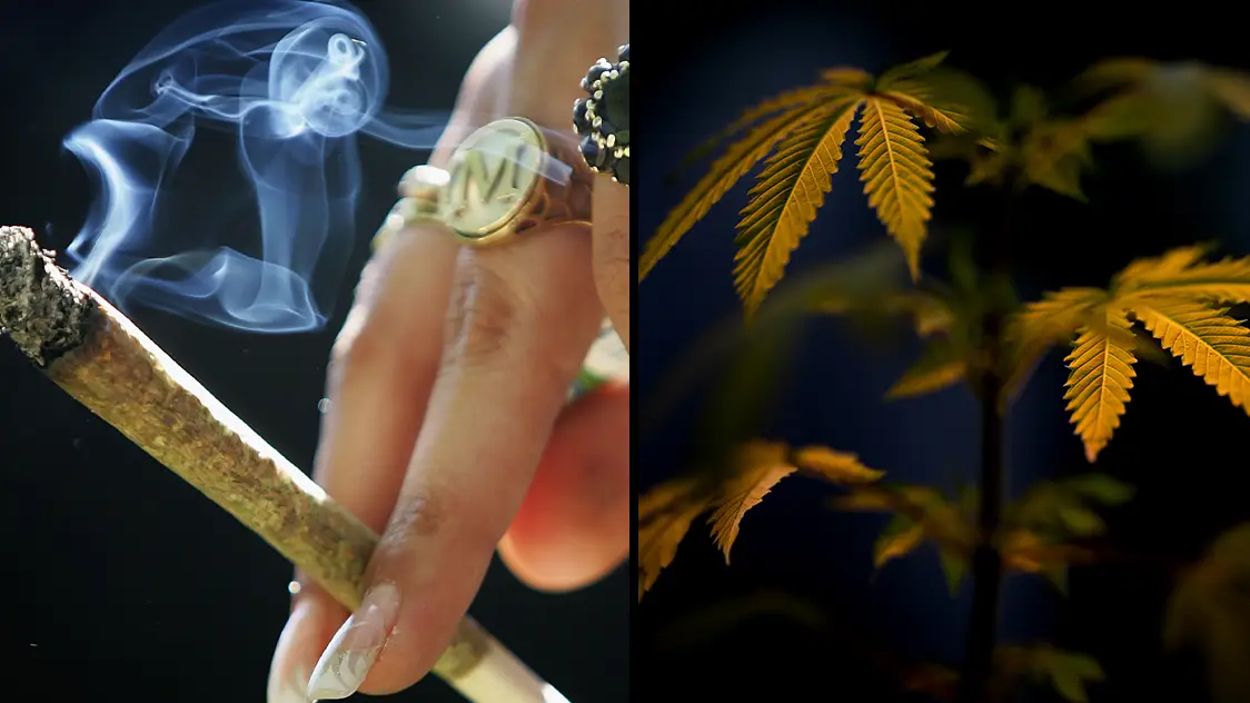 What cannabis does to your body minute-by-minute