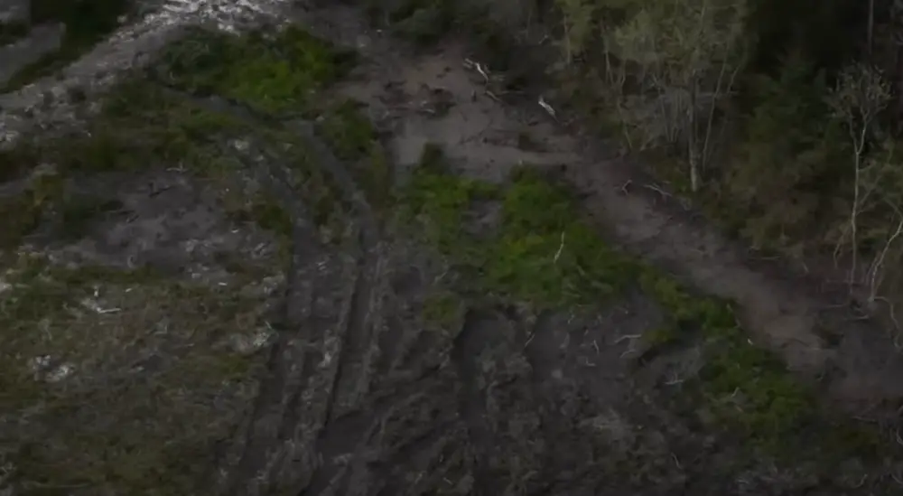 It's believed there are more bodies in the marshy stretch of land.