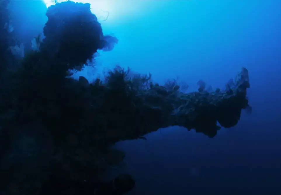 He believes the shape does not look 'nature made'.