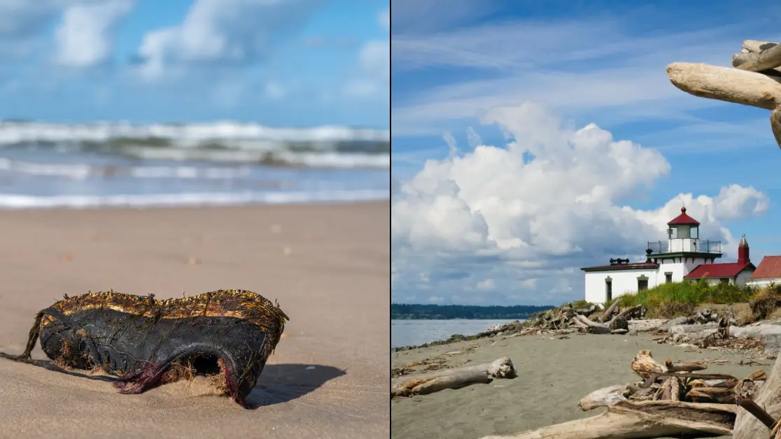 Getty Stock/Greg Vaughn /VW PICS/Universal Images Group via Getty Images