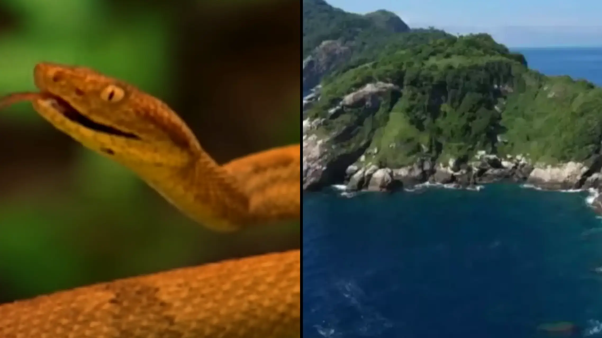 YouTube/60 Minutes/Australia 9 News