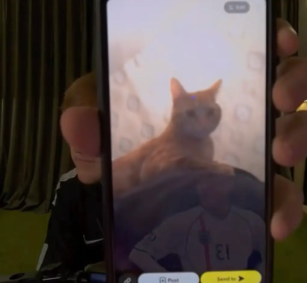 He also shared a picture of his cat Simba (TikTok/@angryginge13)