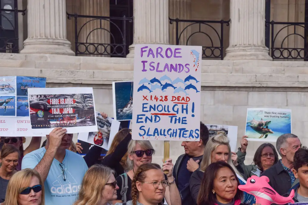 Activists have long protested against the traditional practice, arguing that it needs to be banned (Vuk Valcic/SOPA Images/LightRocket via Getty Images)