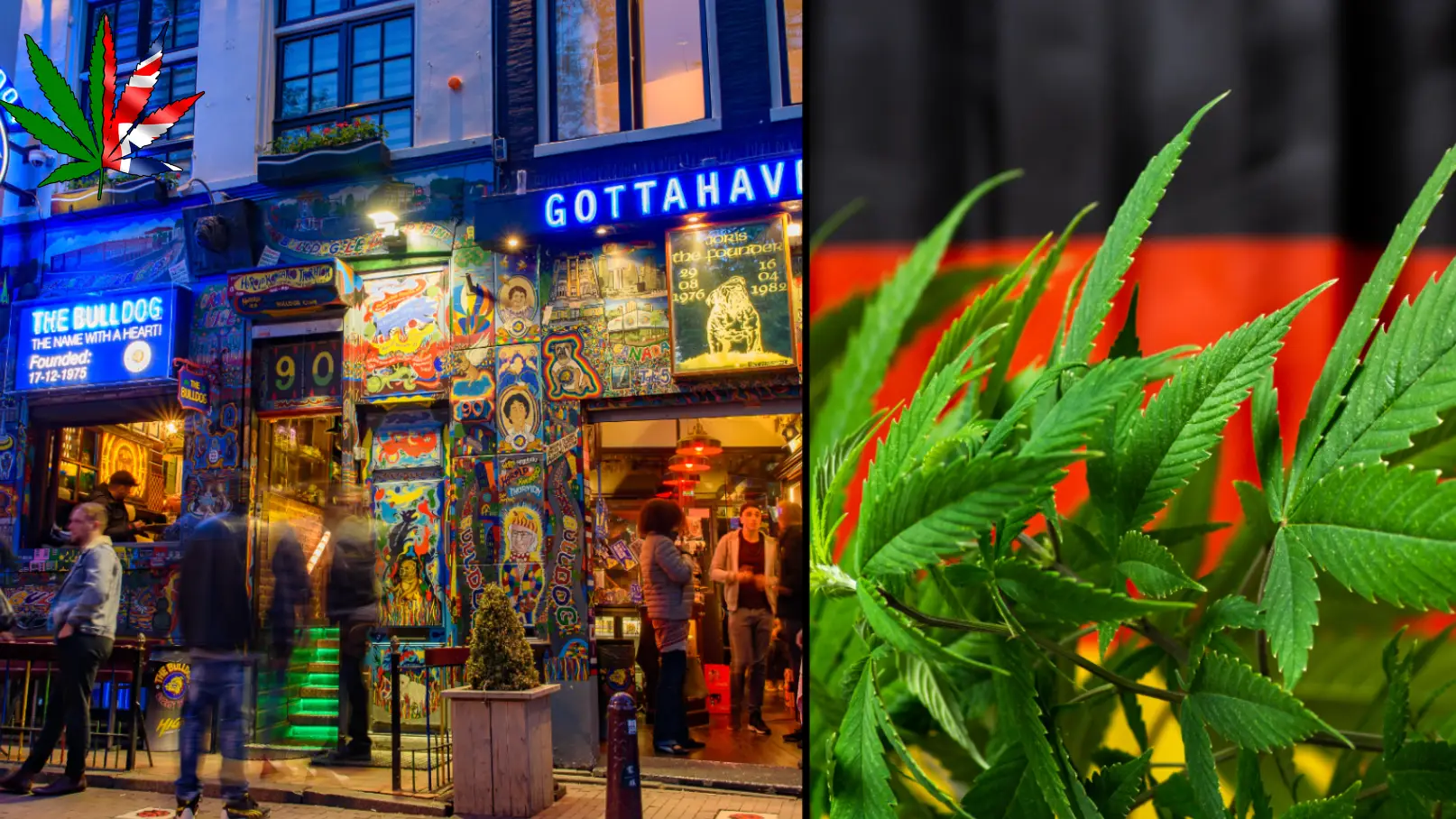 Ju Wu/Alamy AleksanderTomic/Alamy 