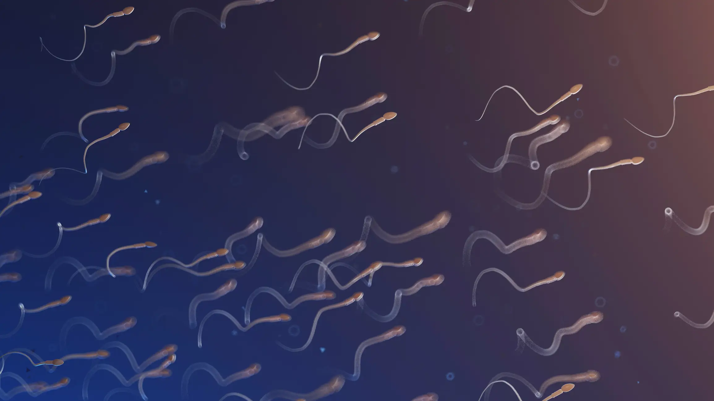 The older you get the more risk your sperm poses to any children you might have (Getty Stock Photo)