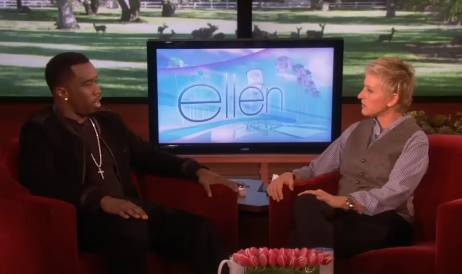 The interview took place in 2009 (YouTube/TheEllenShow)
