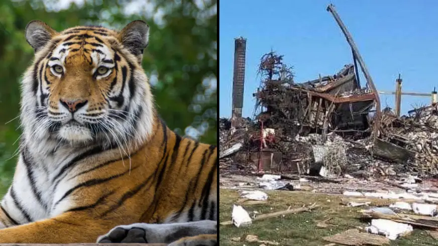 Plamen Nikolov / Alamy Stock Photo. Twitter/ Subodh Kumar.