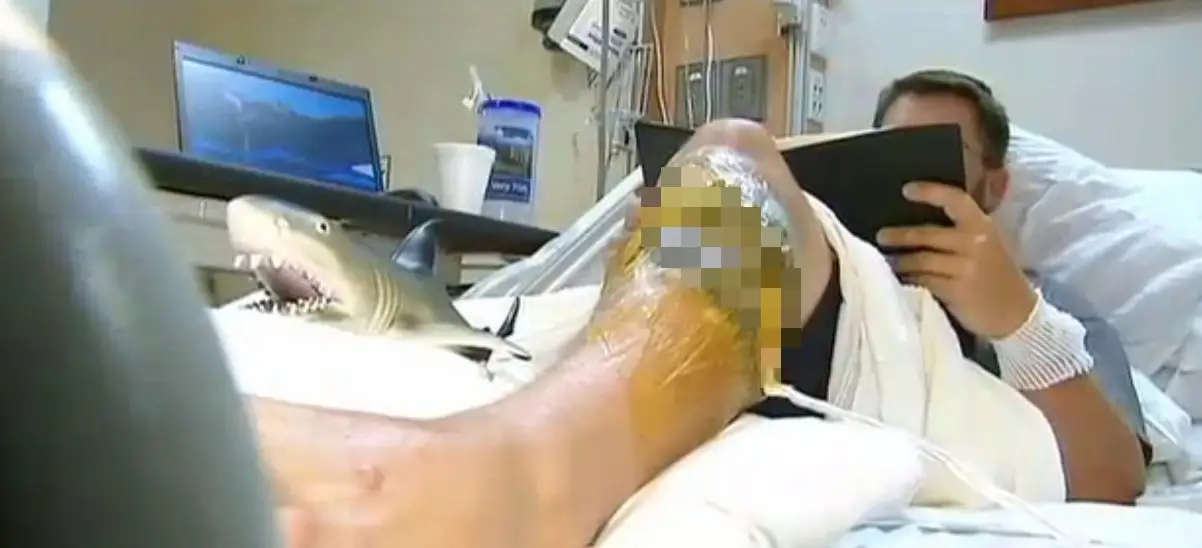 He has since said the shark was the scariest encounter for him (Fox News)