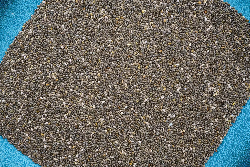 Chia seeds have a lot of things that are good for you, but don't overdo it (Roberto Machado Noa/LightRocket via Getty Images)