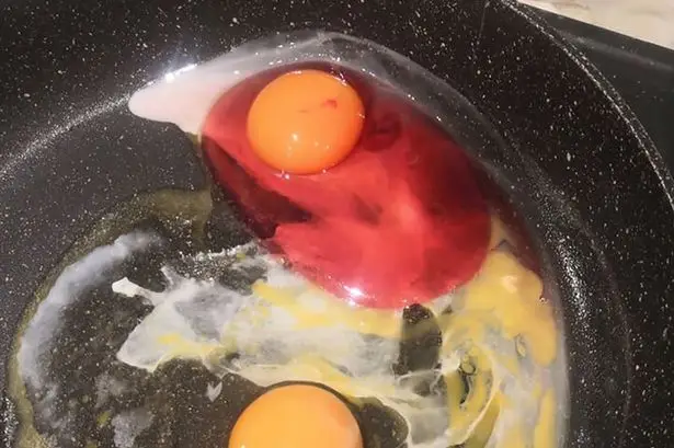 Here's what she saw.