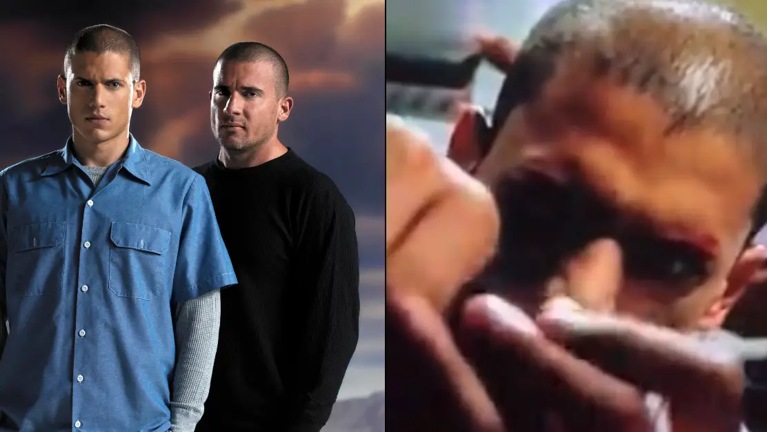 FOX Image Collection via Getty Images / pr3tty_face_amy / TikTok