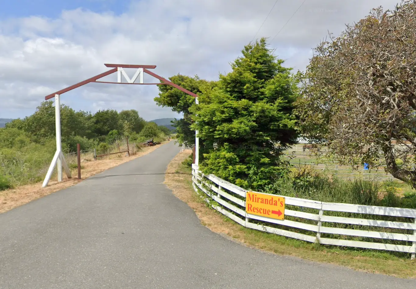 No charges have been filed against Miranda’s Rescue (Google Maps)