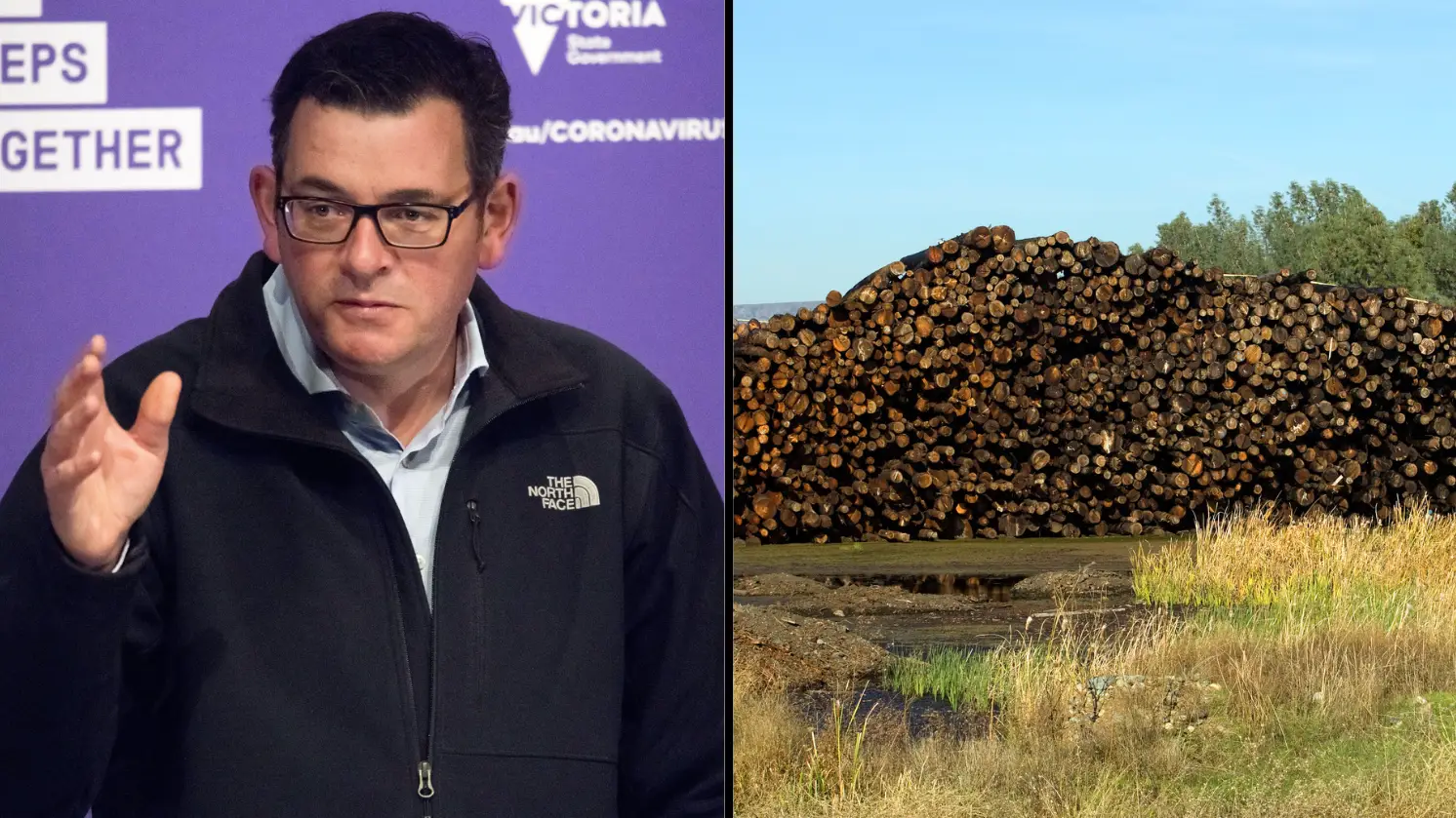 Michael Currie/Alamy. Alamy.