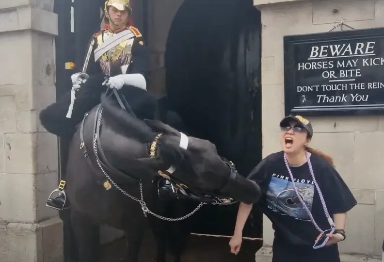 The woman stood too close to the horse and ended up being bitten. (YouTube/busk1976)