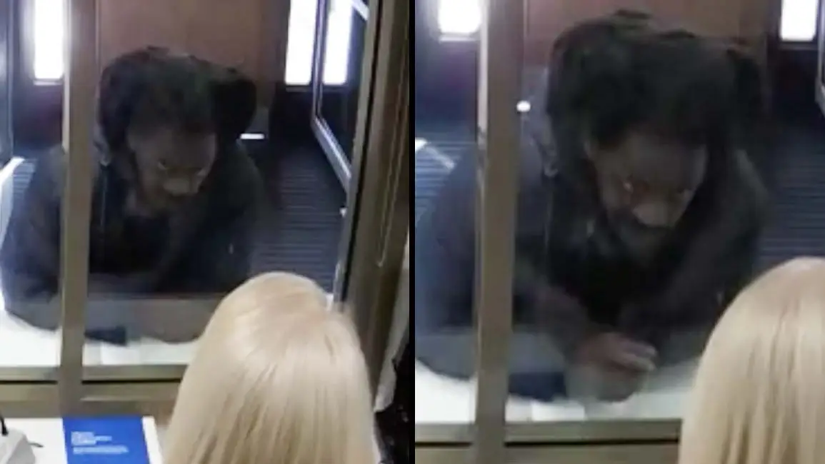 Moment man walks into London police station and confesses to murder more than 40 years ago