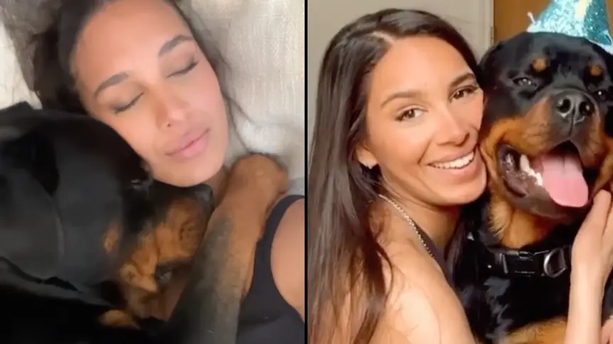 nala_the_needy_rottie/Instagram.