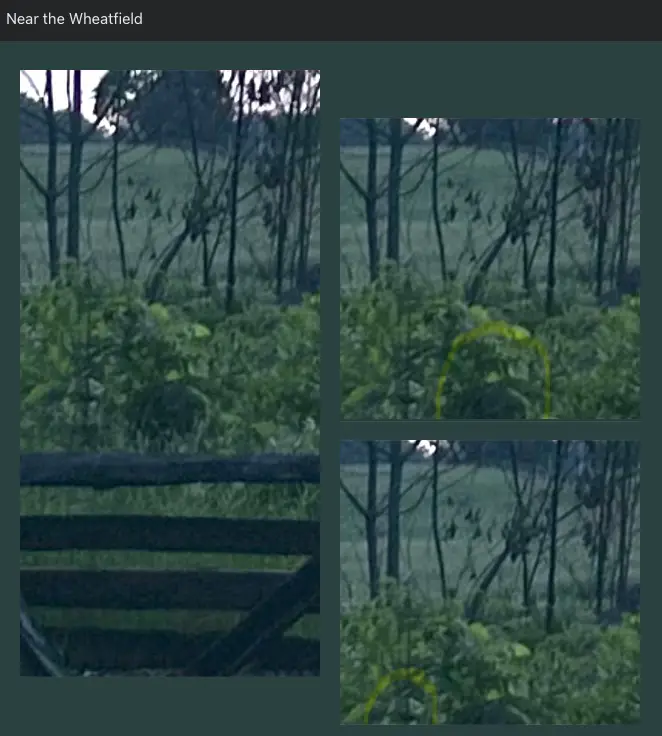 Can you spot the 'ghost'?(Facebook/ Gettysburg Ghost Pictures)