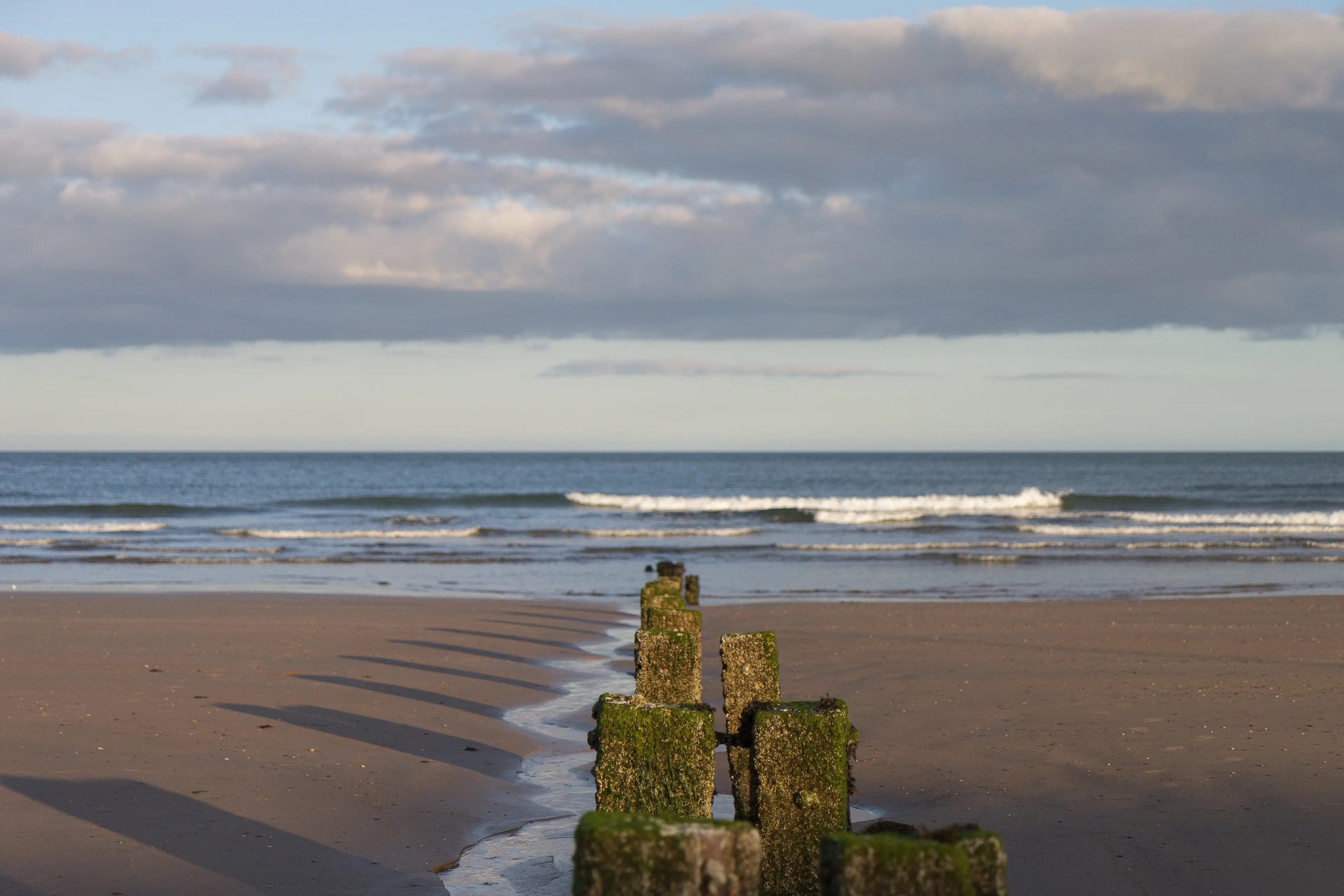 Two men have tragically lost their lives in Co Cork today.