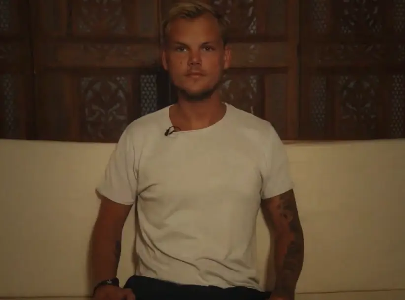 It's narrated by Bergling himself. (Netflix)