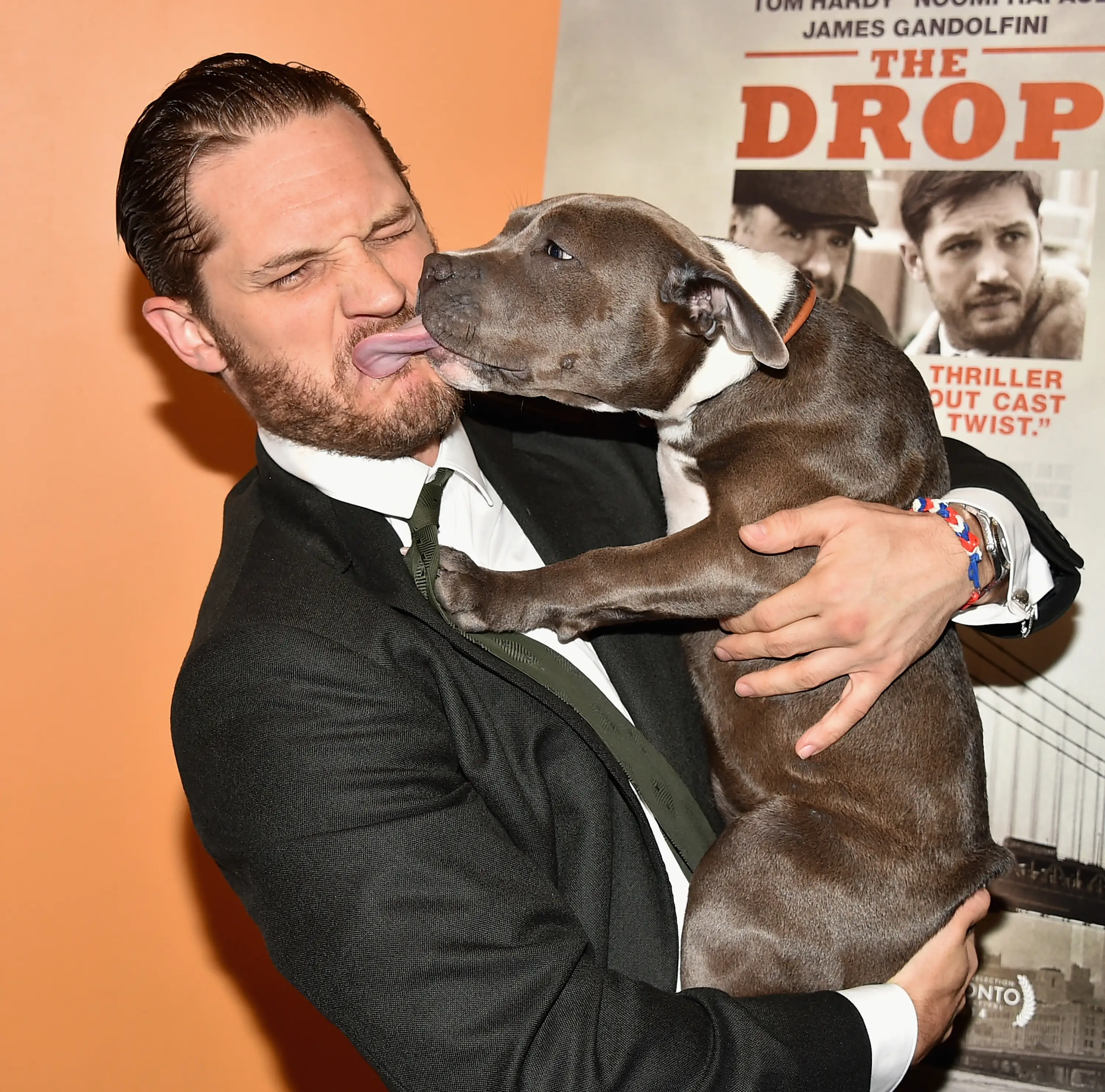 Dog poop bags and a dog bowl are reportedly among the essentials Tom Hardy requests (Theo Wargo/Getty Images)