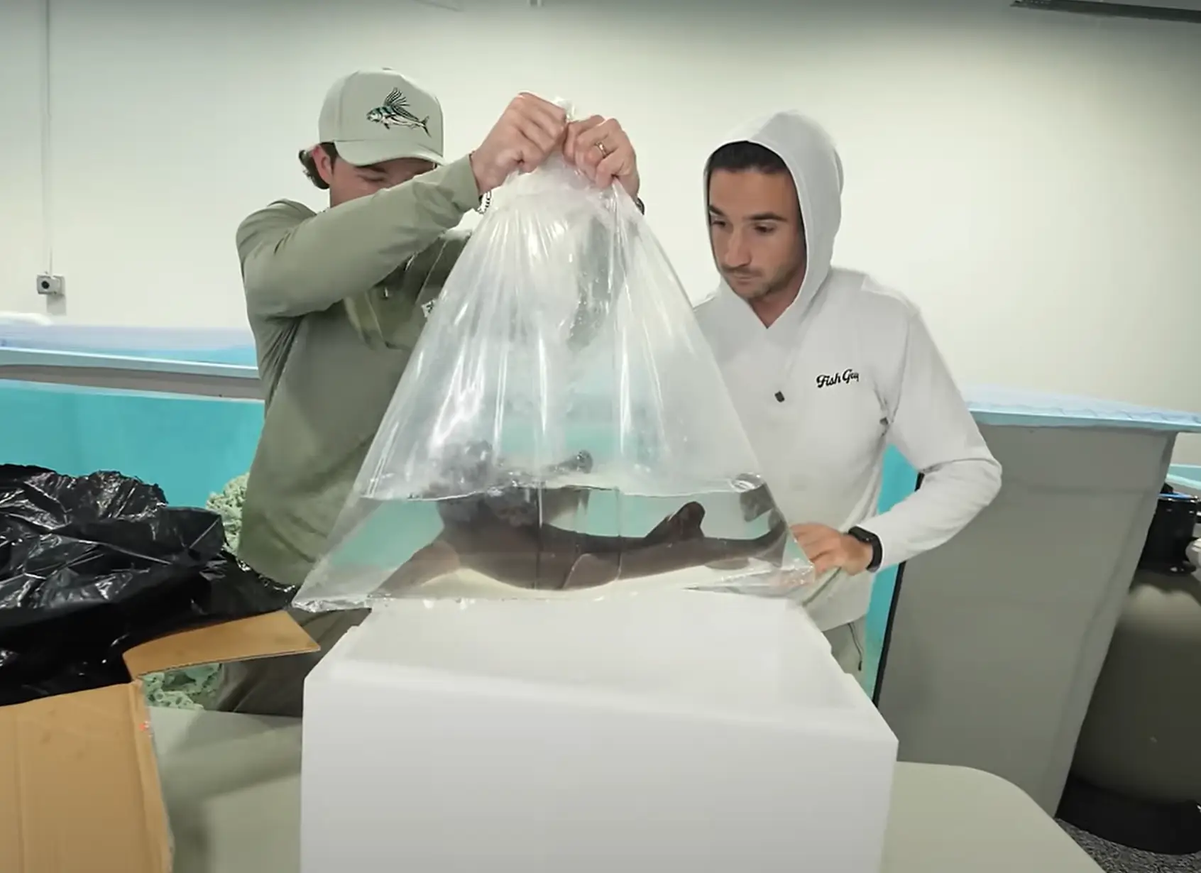 They bought a shark. You weren't expecting it to be a fully grown Great White were you? (YouTube/The Fish Guys)