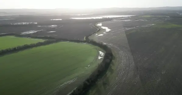 The surrounding area.