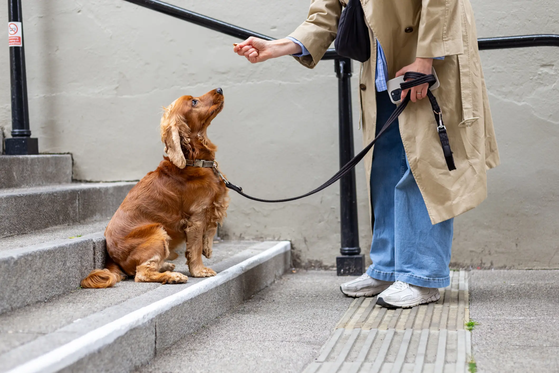 This particular client spends eight hours role playing as a dog (Getty Stock Images)