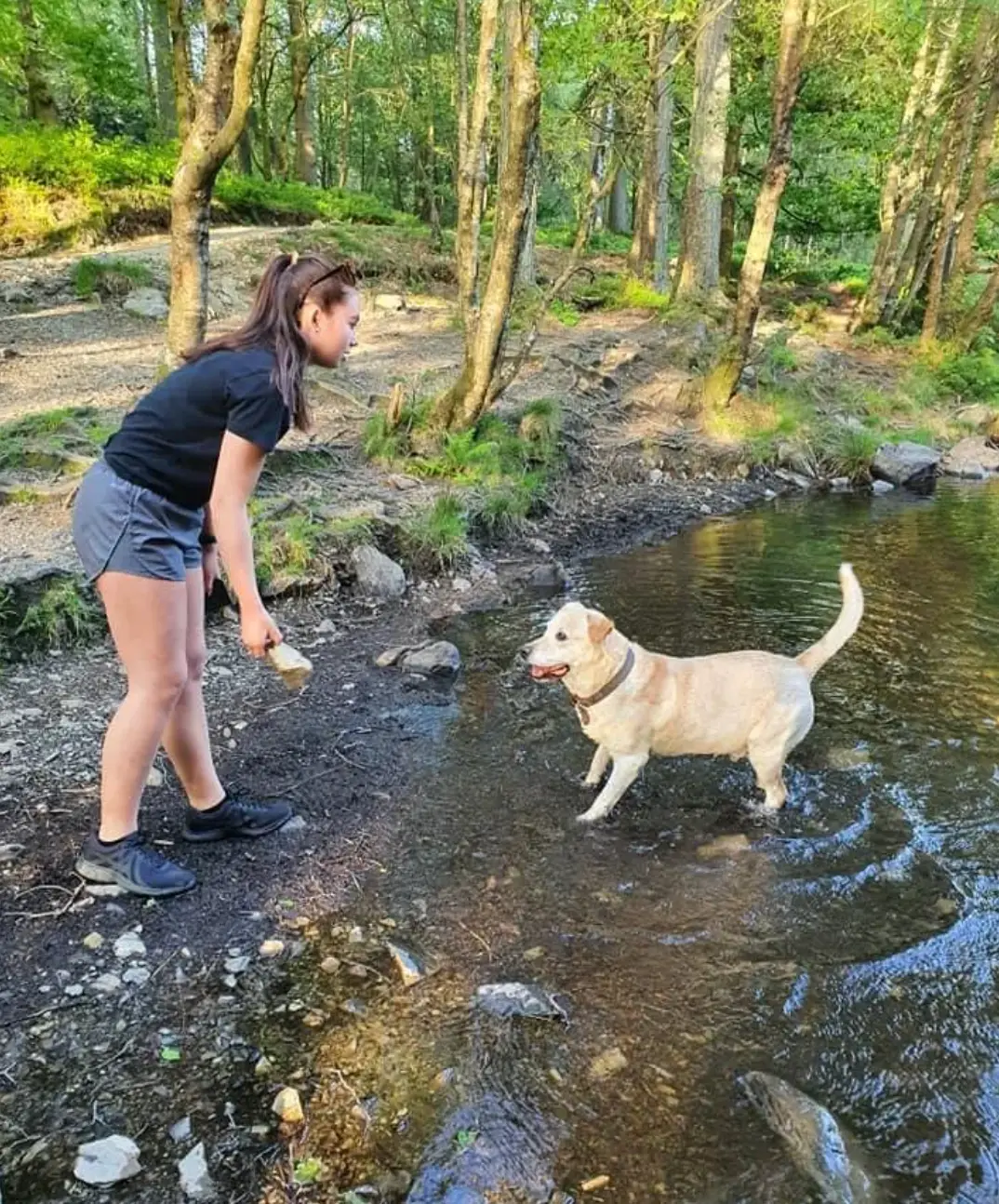 The teenager had previously complained of sexual misconduct by a sergeant (PA)