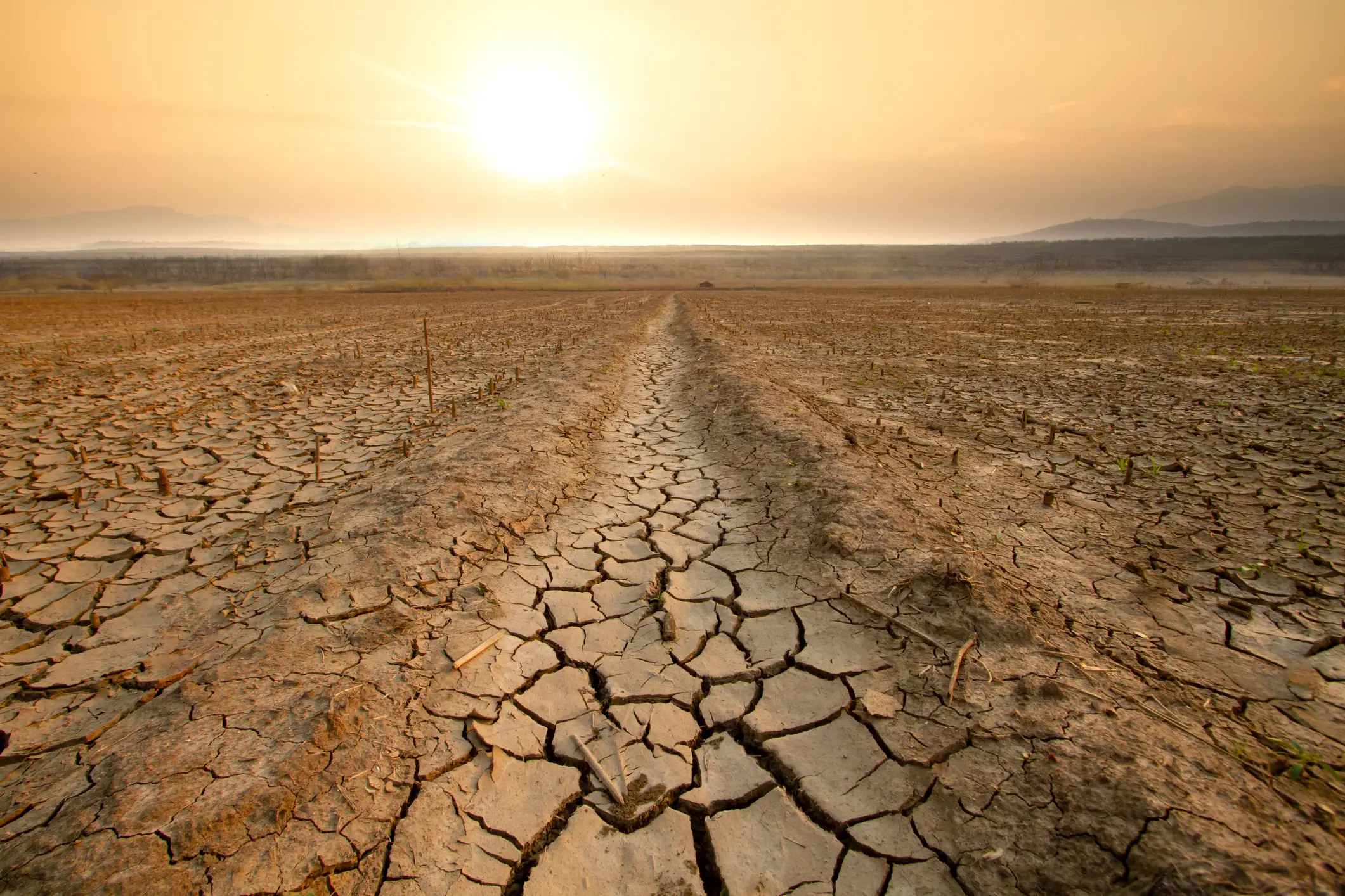 El Niño can lead to droughts in some parts of the world (Getty Stock Images)