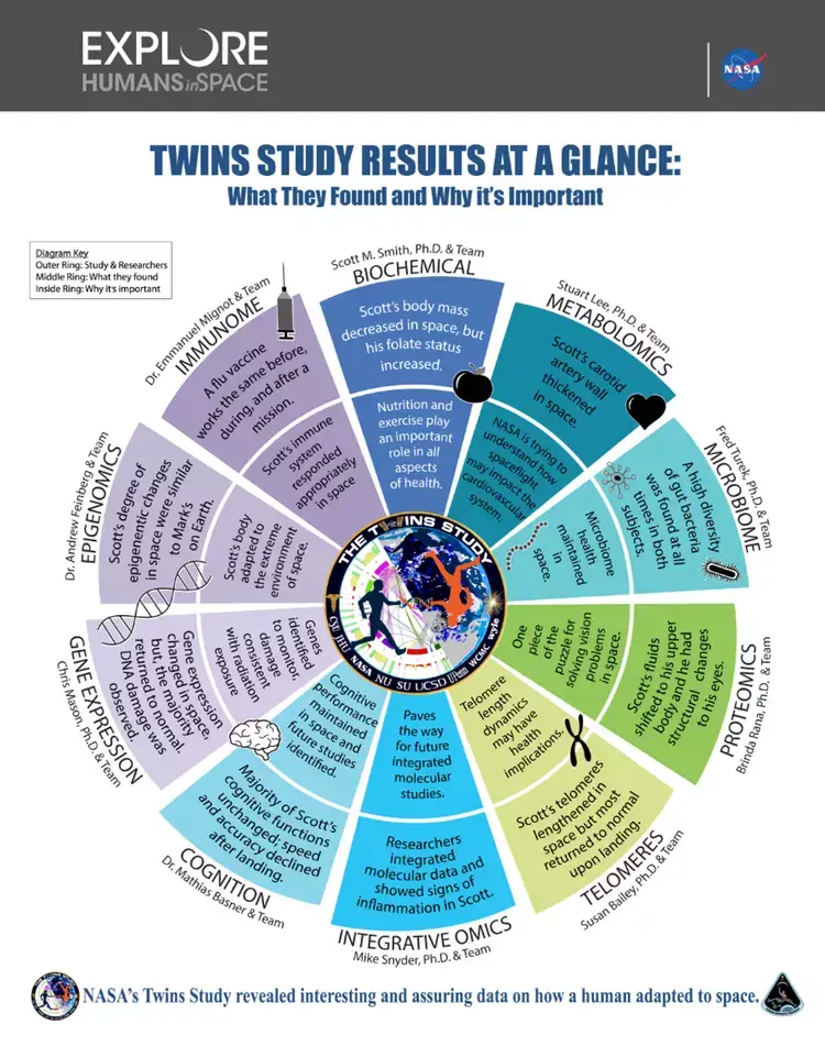 The effects of the 'twins study' at a glance (NASA)