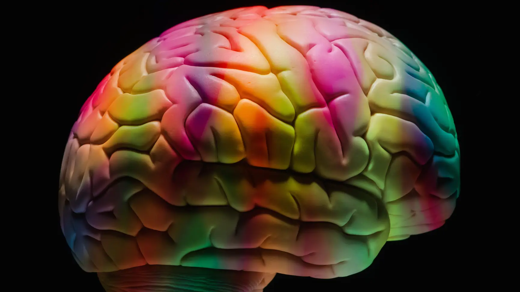 (Getty Stock Images)