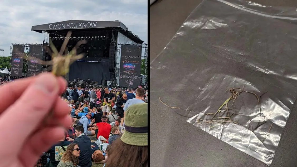 People Are Bidding Thousands For Clump Of Grass From Liam Gallagher's Knebworth Gigs