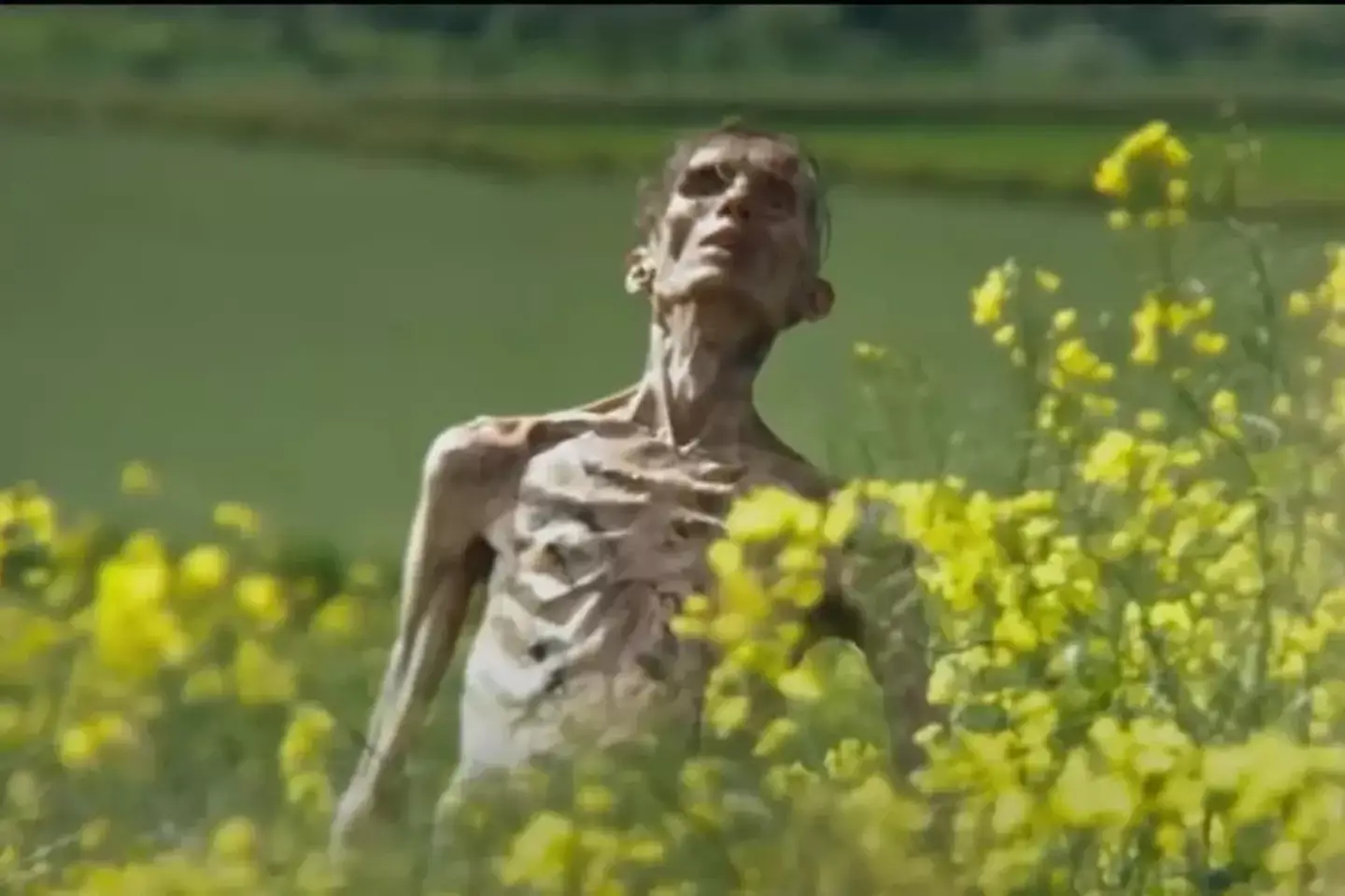 Many believed this undead bloke in 28 Years Later was Cillian Murphy(Sony)