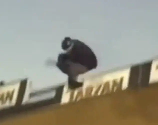 Is it a bird? Not technically, but it is a Hawk.