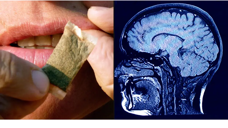 OLIVIER MORIN/AFP/Getty Images/Getty Stock Images