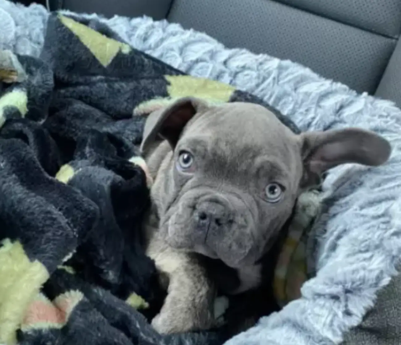 It's not clear how Pablo died.