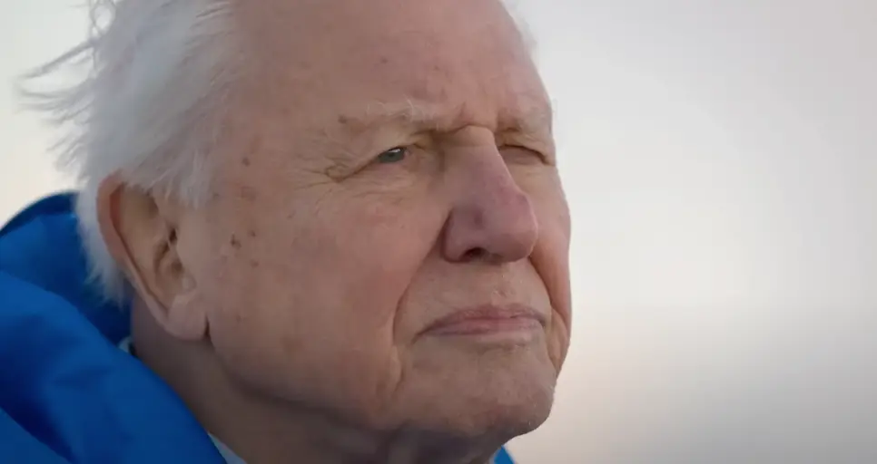Sir David Attenborough's new film highlights the important environmental role of oceans (Altitude Films)