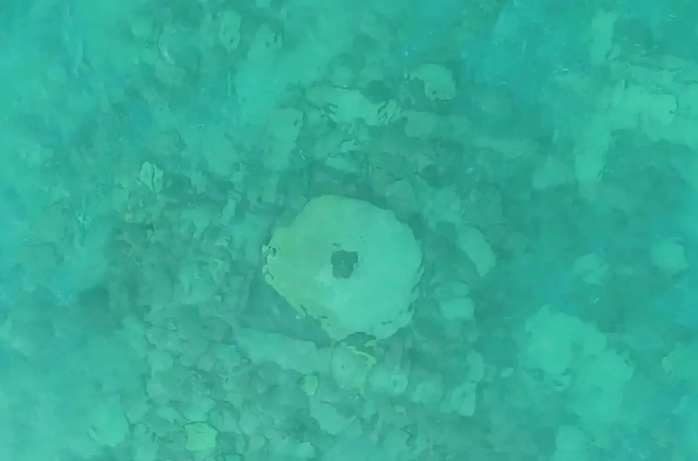 Buildings were found in shallow areas of Lake Issyk Kul (RUSSIAN ACADEMY OF SCIENCES)