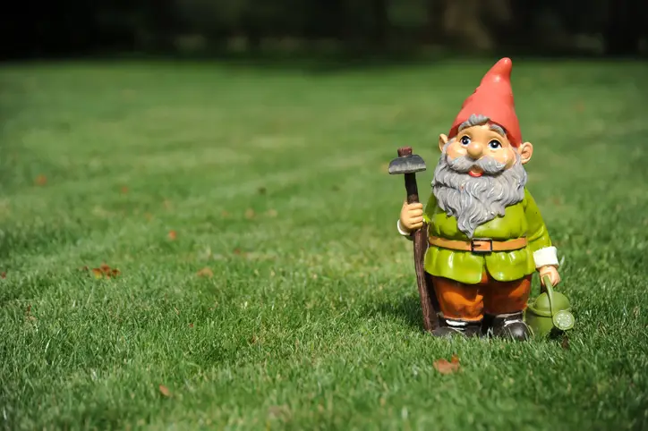 Garden gnomes are said to hint at alternative lifestyles (Getty Stock Images)