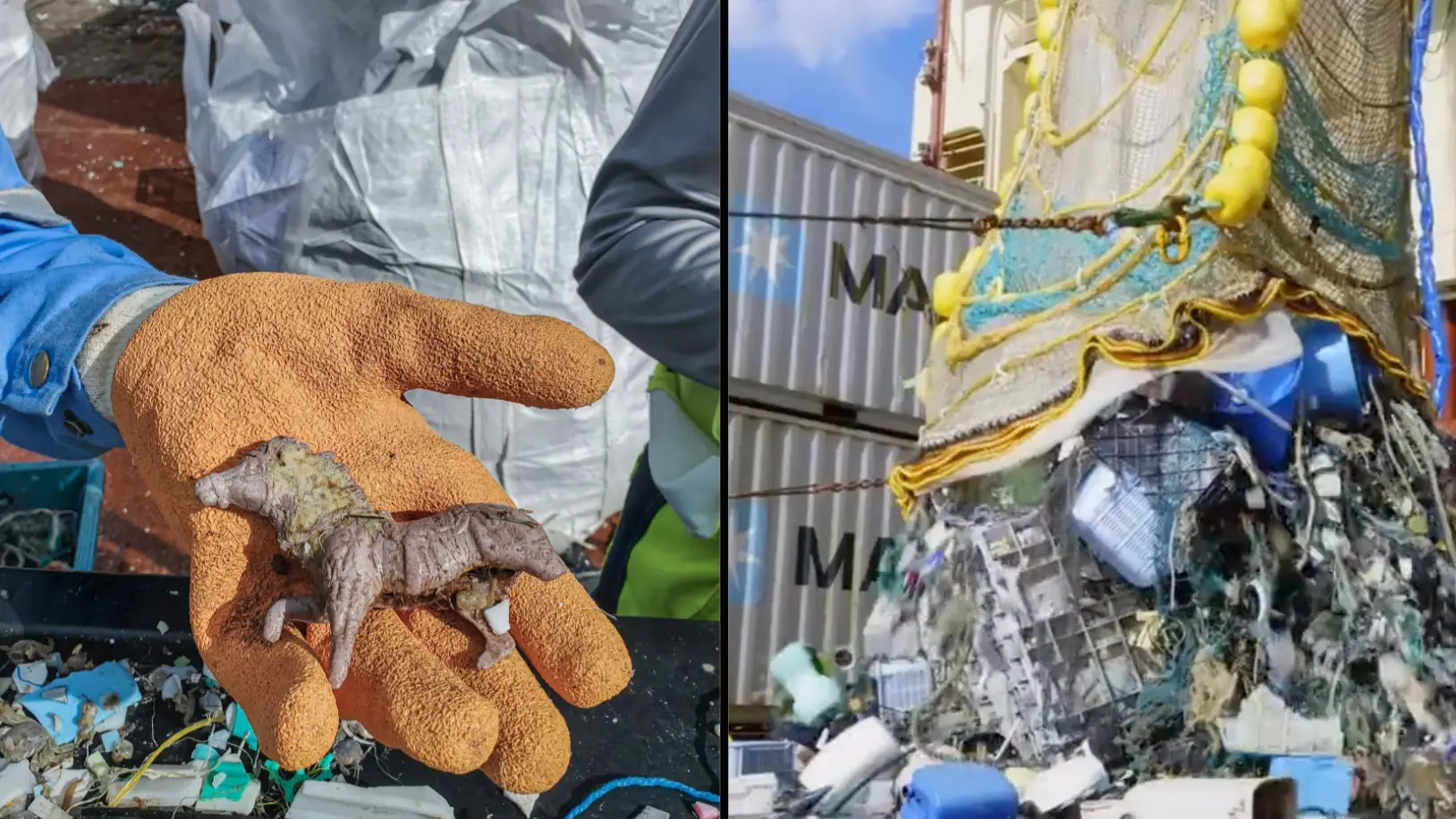 The Ocean Cleanup / Twitter.