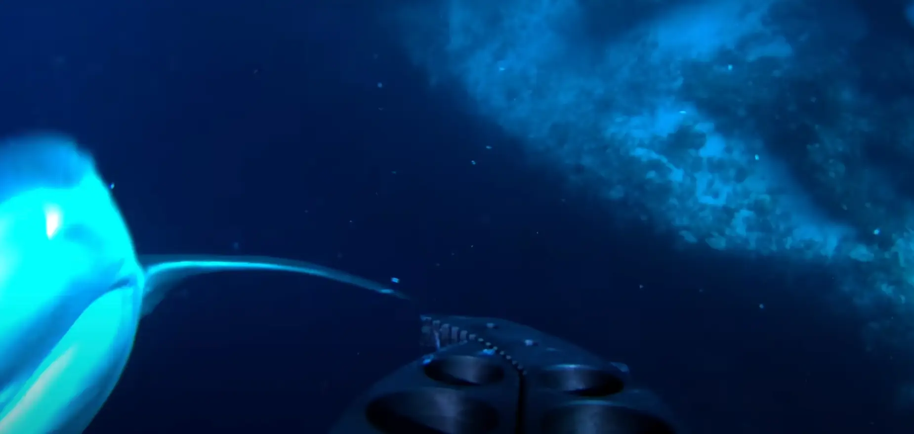 Maybe he's not so friendly after all (YouTube/Will Mitchell)