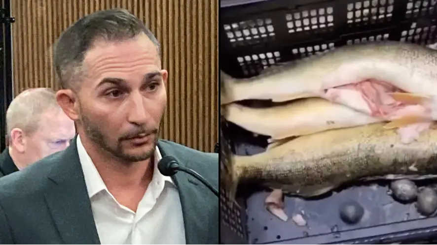 Associated Press / Alamy Stock Photo/Twitter/@Billyhottakes