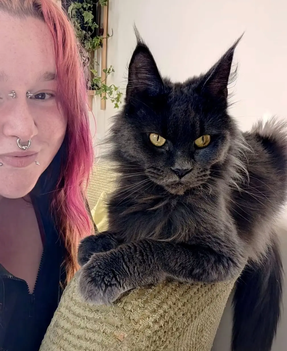 Erika and Ivy have now been reunited thanks to the bizarre hack (SWNS)