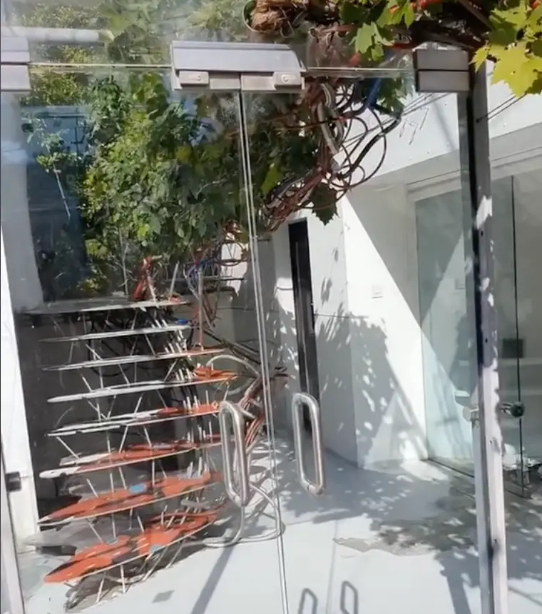 Different parts of the house are inspired by various stages of a butterfly's life cycle.