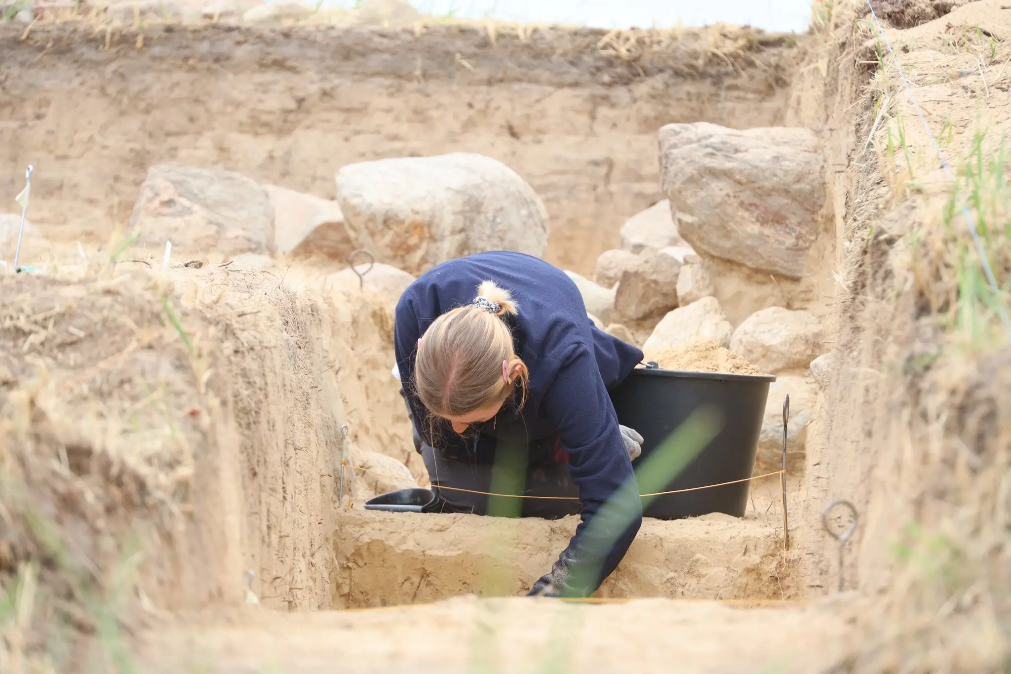 (Zespół Parków Krajobrazowych Województwa Wielkopolskiego/Facebook)