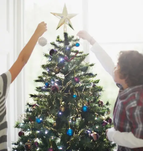 Have you put your tree up yet? (